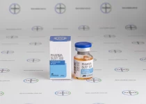 Фото 1 - Сустанон Фармаком (Pharma Sust 300 Pharmacom Lbs) 300мг 10мл