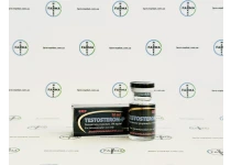 Фото 1 - Testosteron-P BodyPharm (Тестостерону пропіонат БодіФарм) 100мг 10мл