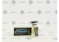 Фото 2 - Testosteron-C BodyPharm (Тестостерон Ципионат БодиФарм) 200мг 10мл