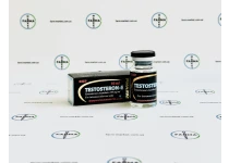 Фото 1 - Testosteron-E BodyPharm (Тестостерону Енантат БодіФарм) 250мг 10мл