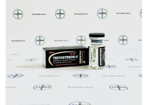 Фото 3 - Testosteron-E BodyPharm (Тестостерону Енантат БодіФарм) 250мг 10мл